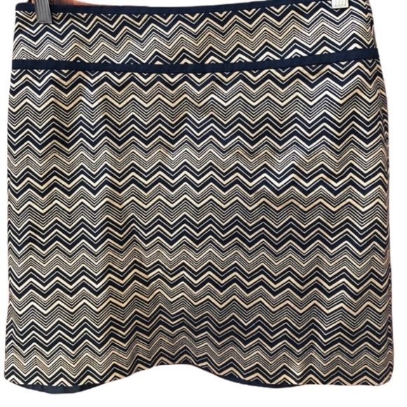 Ann Taylor Loft‎ Chevron Print Skirt - Picture 1 of 9